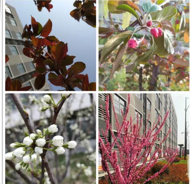 校园焕新颜 静待学子归