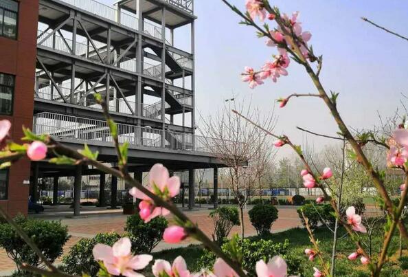 好教师铸就好学校—安阳市飞翔学校亮点系列之班主任风采展示