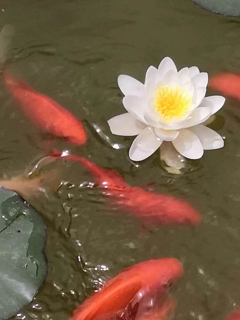 微信图片_20190607085452