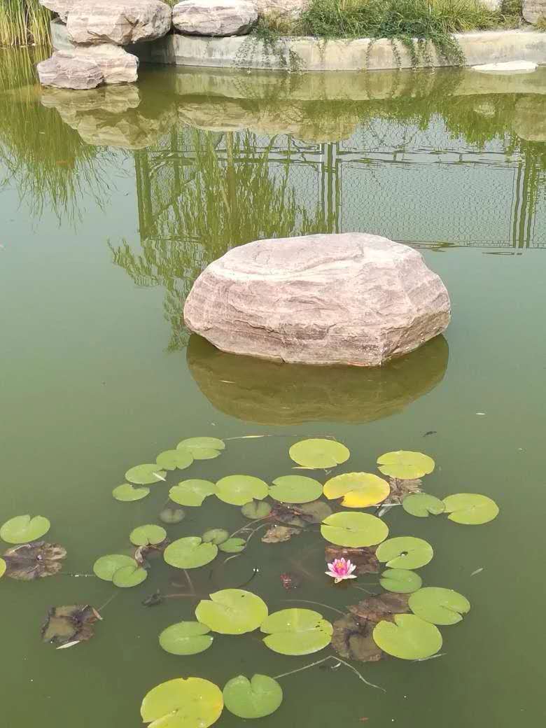 微信图片_20190607085456