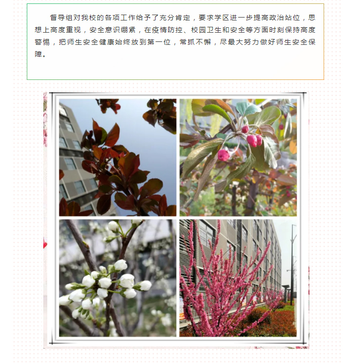 助力创卫迎复审，绿色校园文明城--市教育局第二督导组莅临我校督查创卫复审暨疫情防控巡查_03