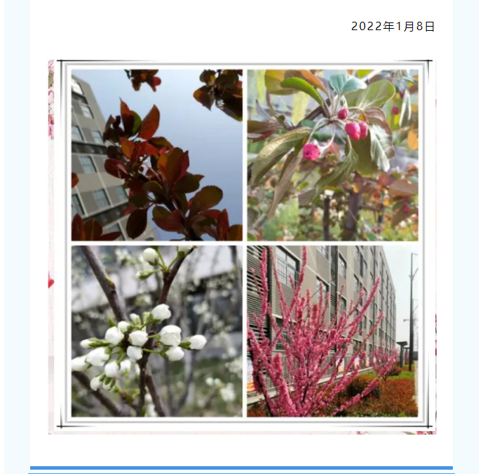 紧急通知__安阳市飞翔学校关于做好当前新冠肺炎疫情防控工作的紧急通知_02
